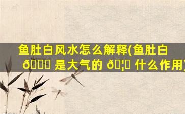 鱼肚白风水怎么解释(鱼肚白 🐅 是大气的 🦈 什么作用)